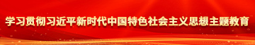 jk水手服女生小洞口学习贯彻习近平新时代中国特色社会主义思想主题教育